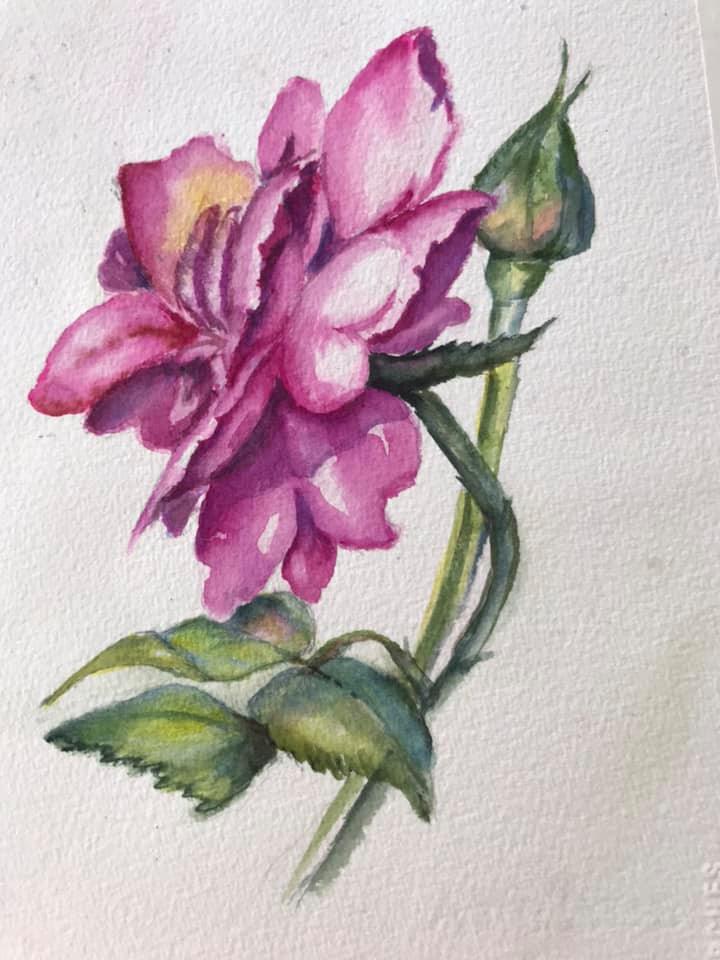 Work by student B., 2021