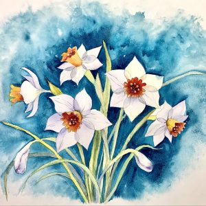 Daffodils