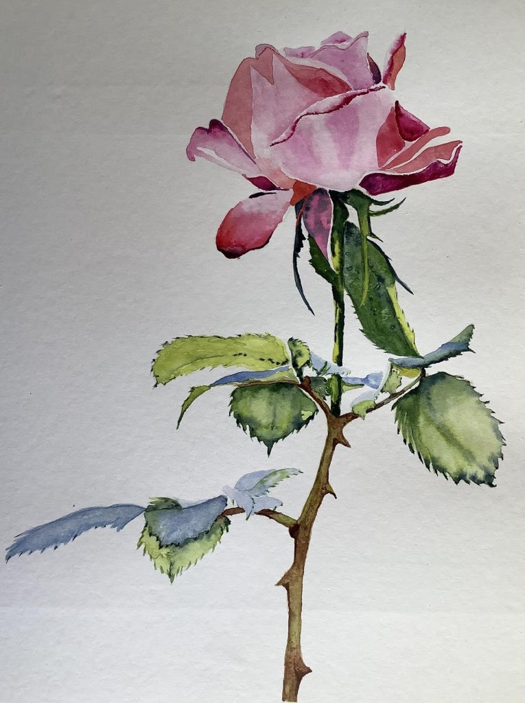 Work by student R., 2021