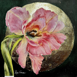 SOLD Tulip of Golden Moon