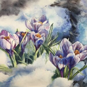 Crocuses