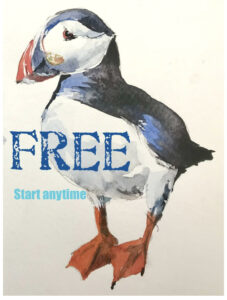 FREE BASIC watercolour tutorial PUFFINS from course Canadian Landscape Newfoundland and Labrador