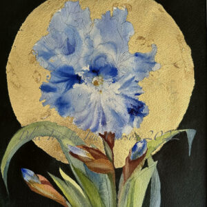Blue Iris of Golden Moon