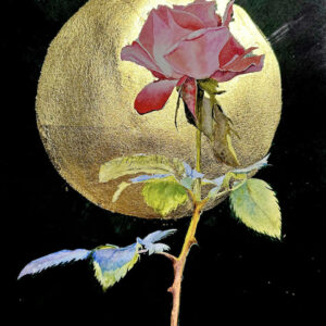 Pink Rose of Golden Moon