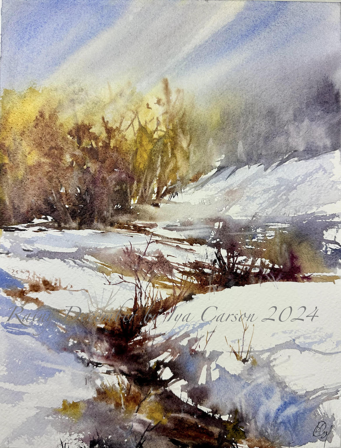 Rainy December