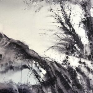 Whispers of the Wind