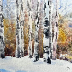 SOLD Among the Birches FRAMED